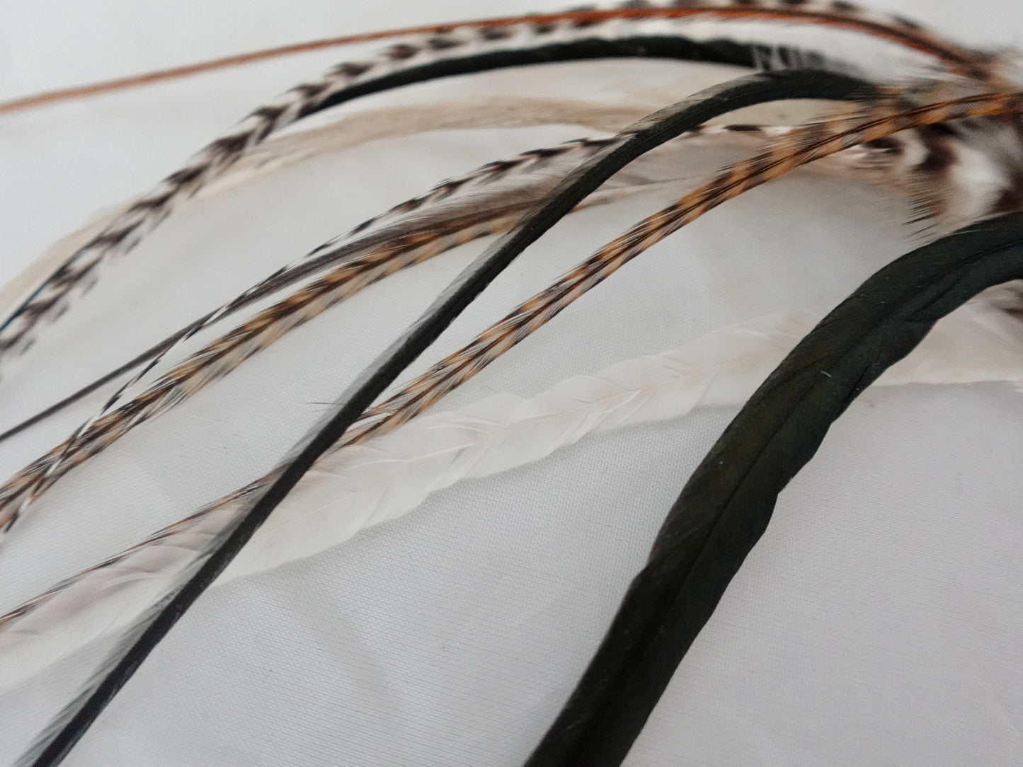 Feather clip in black and white and neutrals on silver, medium sized