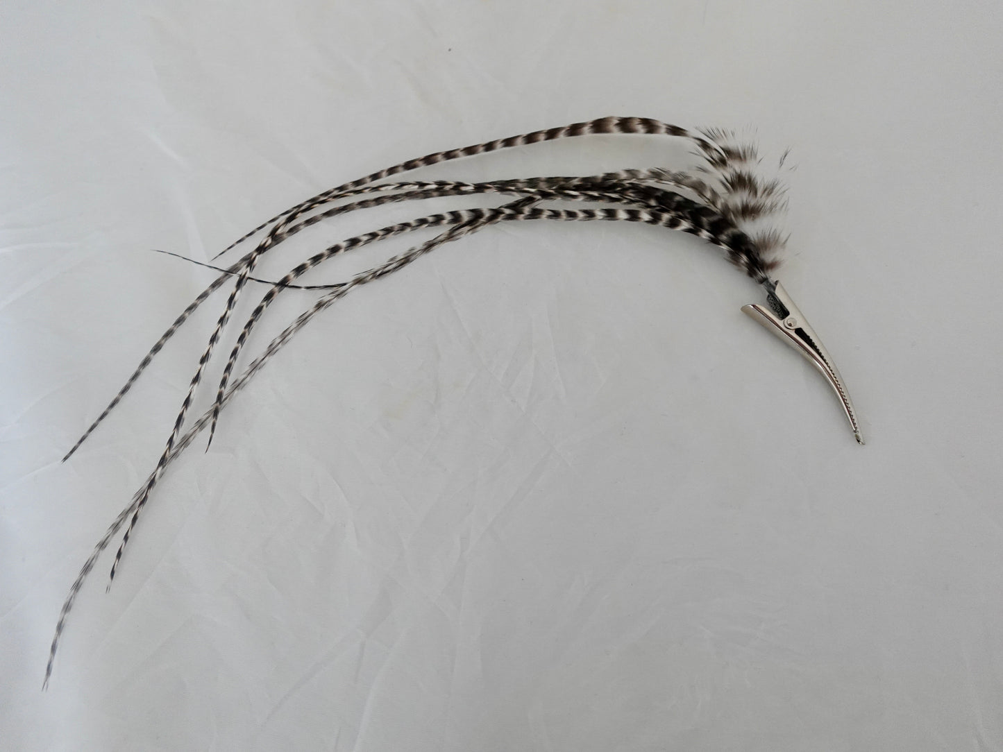 Feather clip in charcoal and white on silver, medium sized