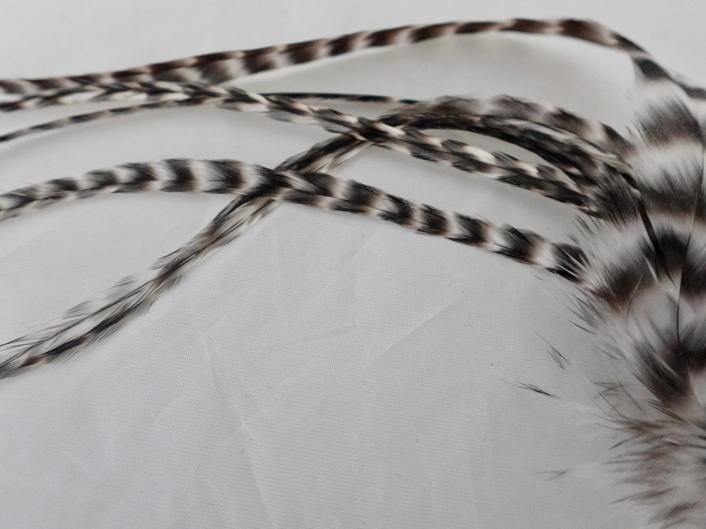 Feather clip in charcoal and white on silver, medium sized