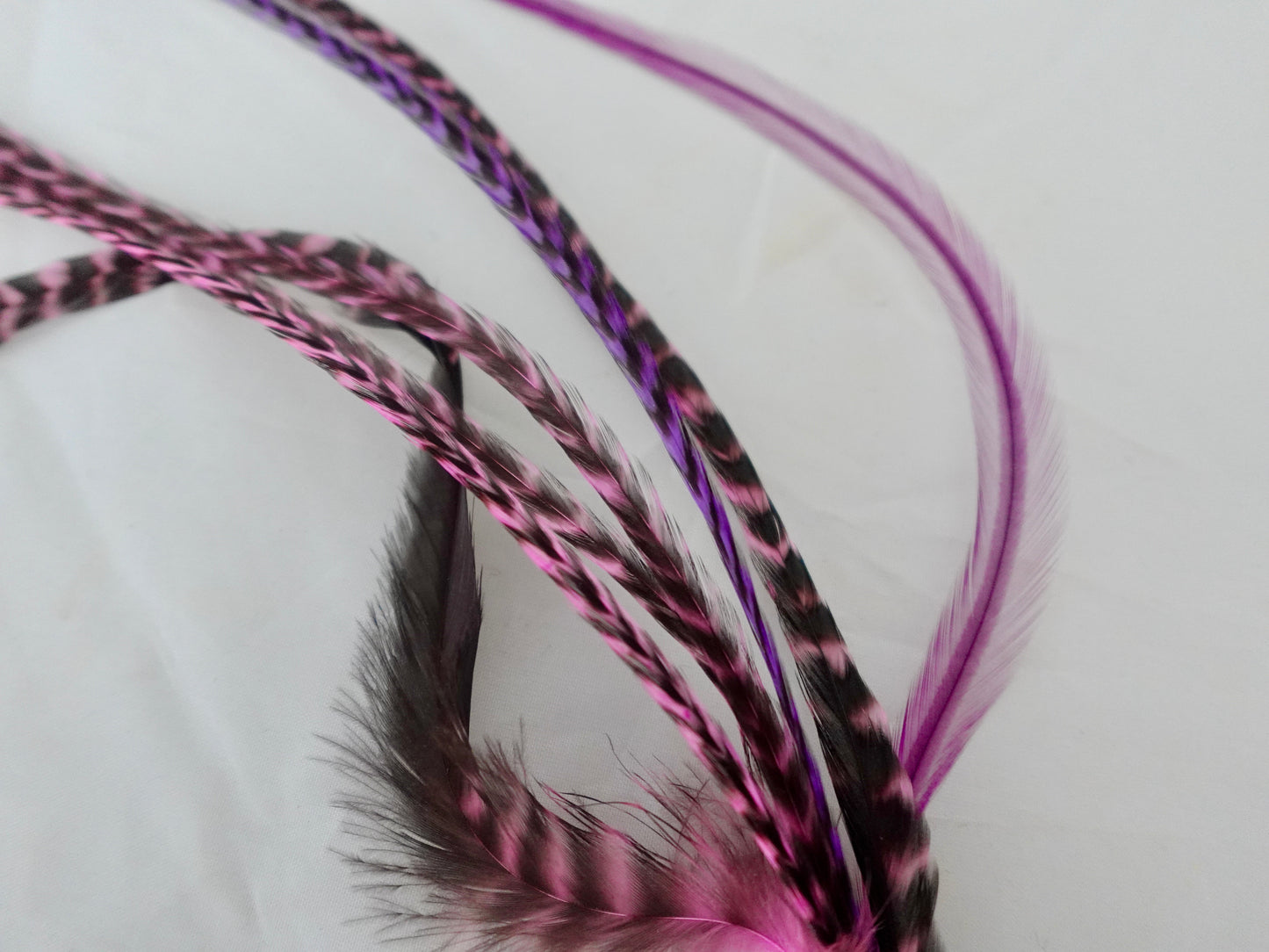 Feather clip in pinks on silver, medium sized