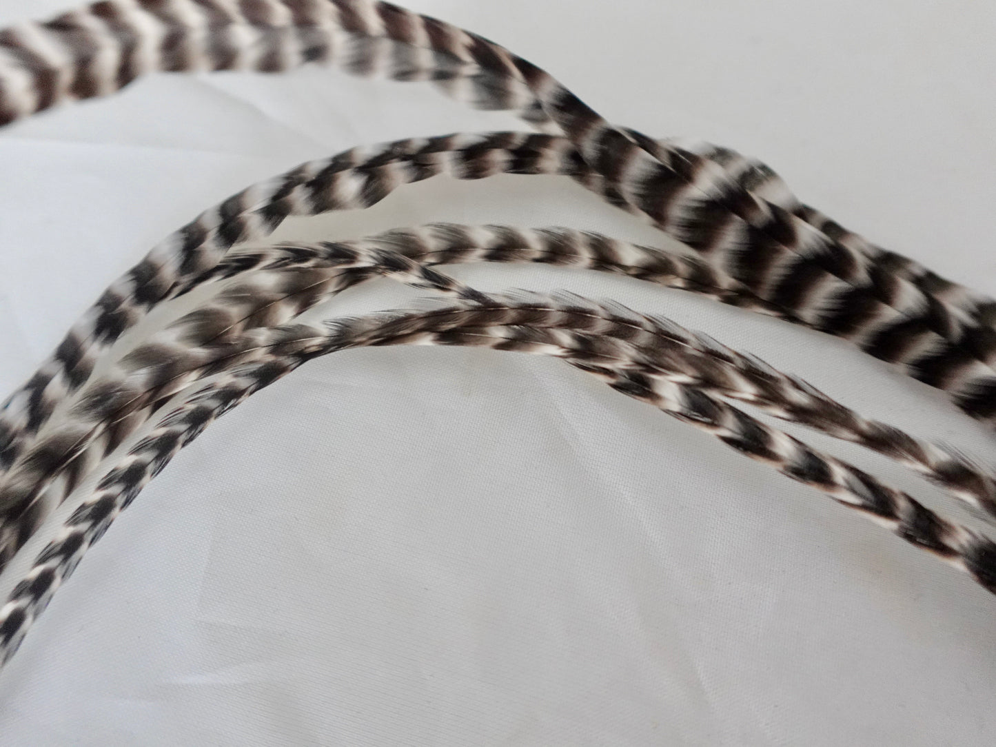 Feather clip in dark grey and white on silver, medium sized