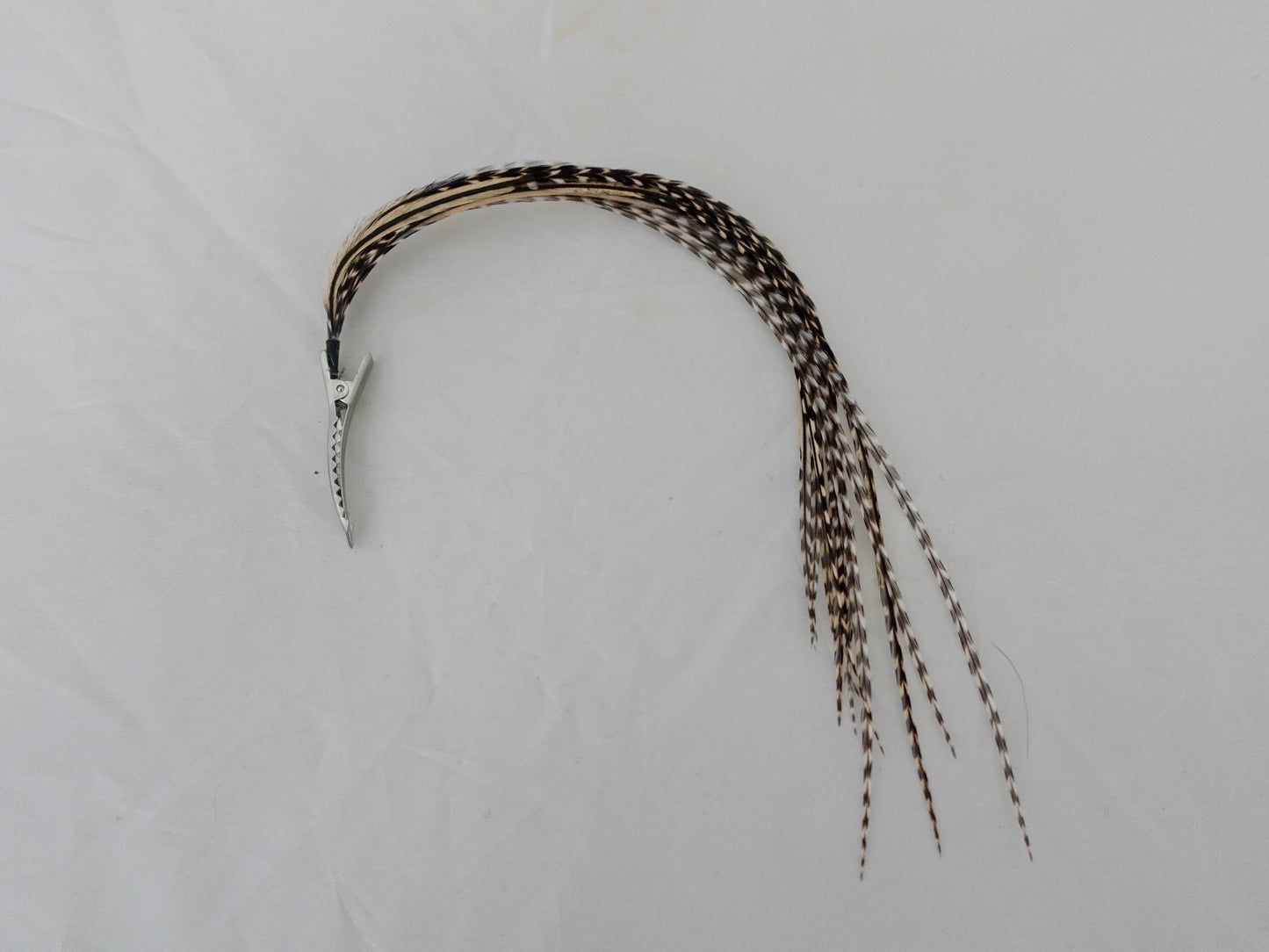 Feather clip in charcoal and white on silver, small size