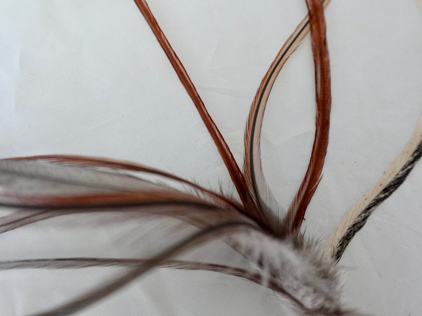 Feather clip in Thin neutrals and rust on silver, medium sized