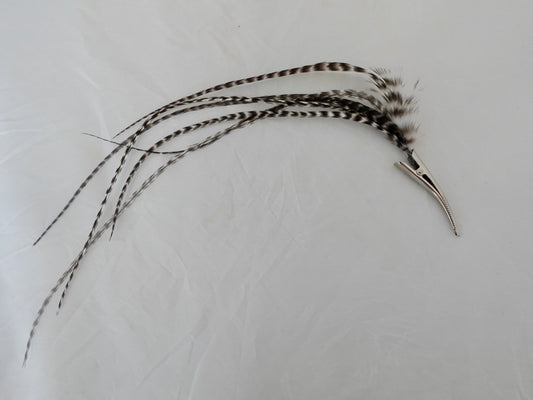 Feather clip in charcoal and white on silver, medium sized