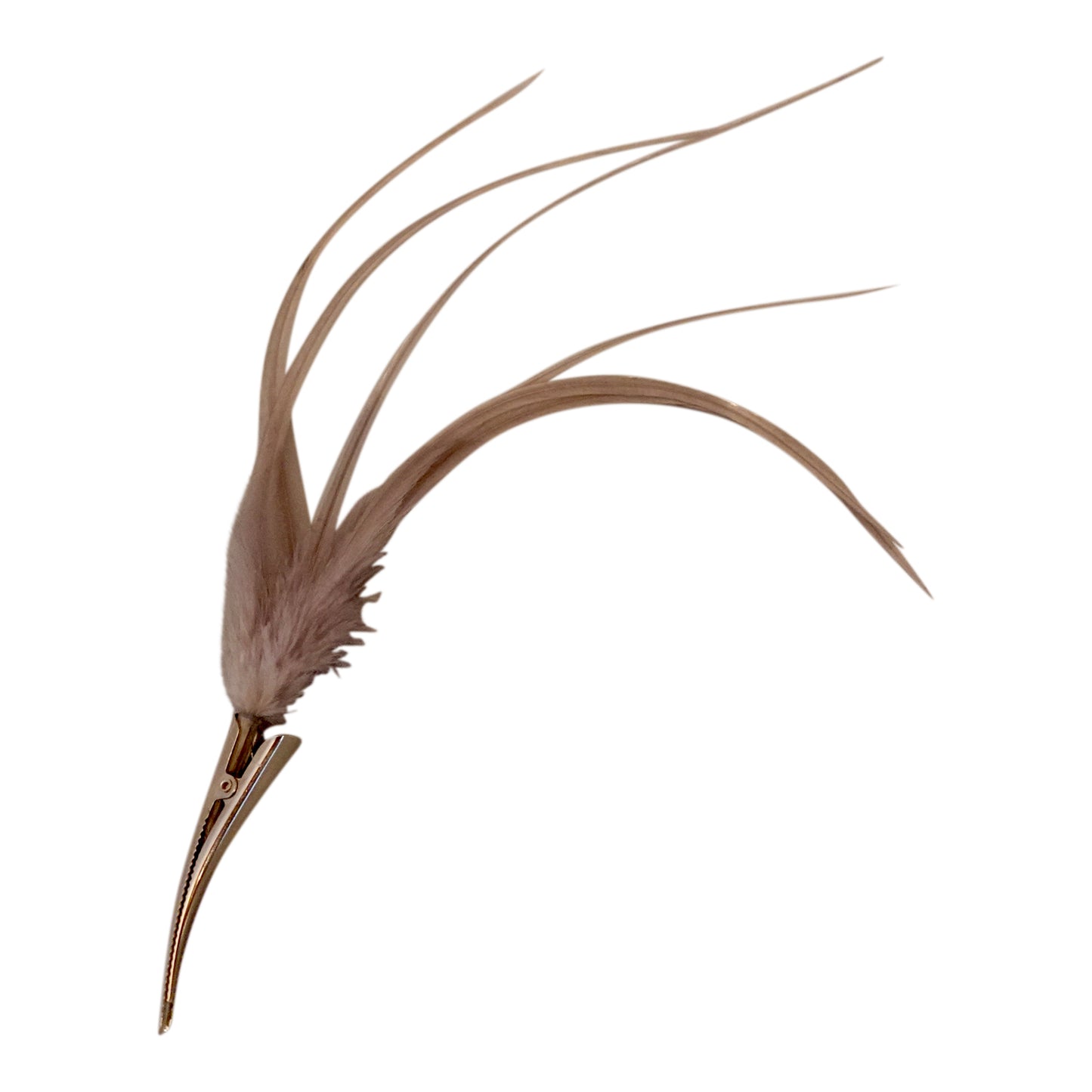 Feather clip in Soft Grey on silver, medium sized