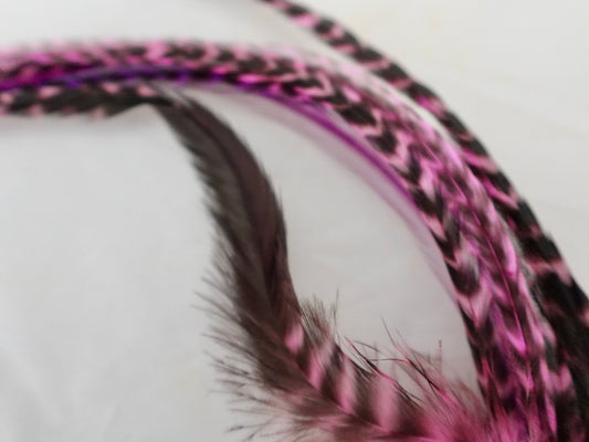 Feather clip in pinks on silver, medium sized
