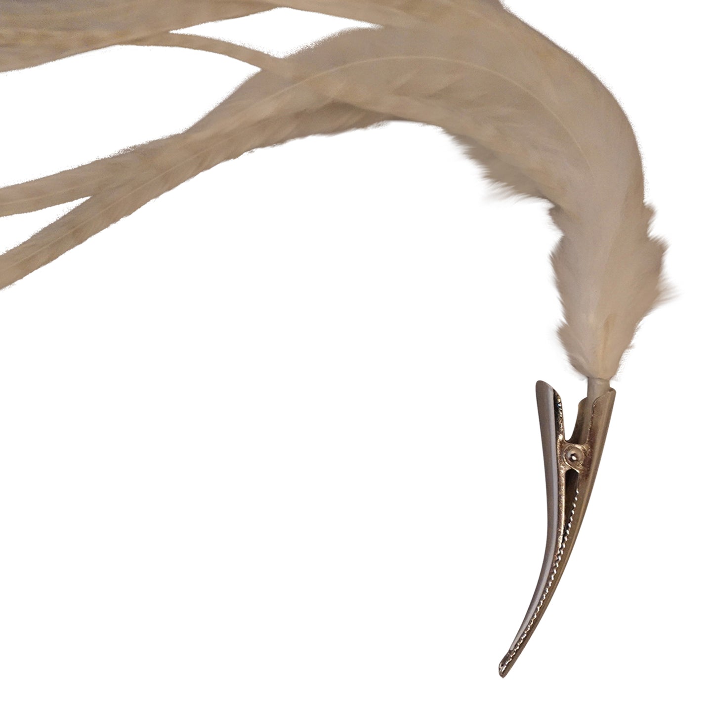 Feather clip in Off White on silver, medium sized
