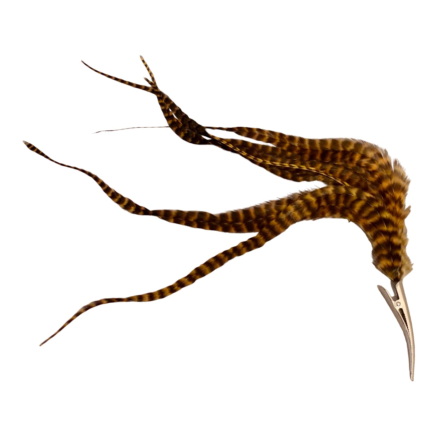 Feather clip in Rust and Black on silver, medium sized